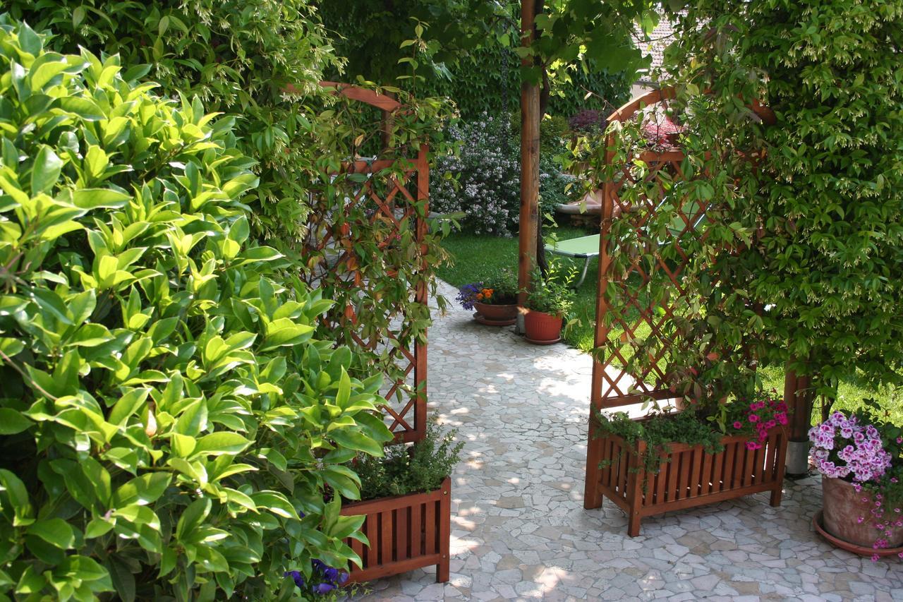 Casa Vacanze Regina Del Lago Tremosine 外观 照片